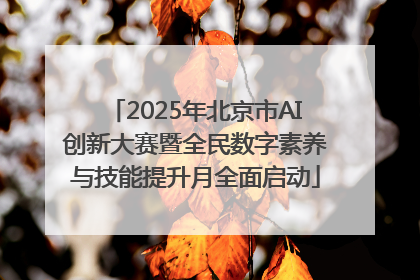 2025年北京市AI创新大赛暨全民数字素养与技能提升月全面启动