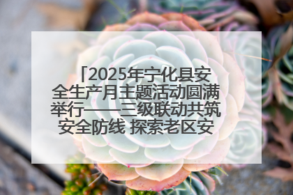 2025年宁化县安全生产月主题活动圆满举行——三级联动共筑安全防线 探索老区安全发展新路径