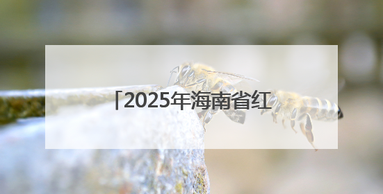 2025年海南省红色故事讲解员大赛（决赛）在海口举行