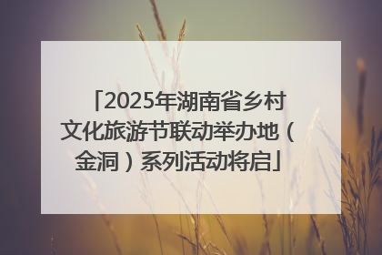 2025年湖南省乡村文化旅游节联动举办地（金洞）系列活动将启