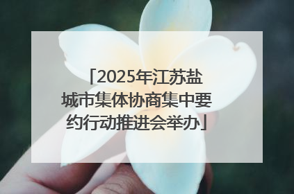 2025年江苏盐城市集体协商集中要约行动推进会举办