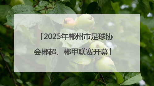 2025年郴州市足球协会郴超、郴甲联赛开幕