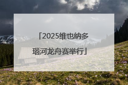 2025维也纳多瑙河龙舟赛举行