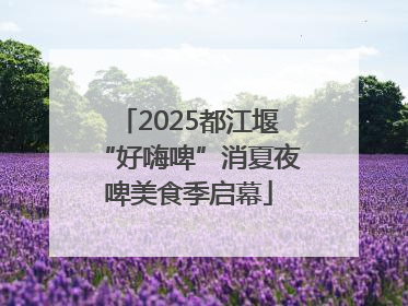 2025都江堰“好嗨啤”消夏夜啤美食季启幕
