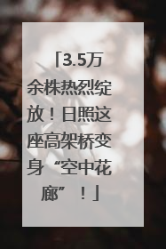 3.5万余株热烈绽放！日照这座高架桥变身“空中花廊”！