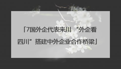 7国外企代表来川 “外企看四川”搭建中外企业合作桥梁