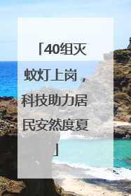 40组灭蚊灯上岗，科技助力居民安然度夏