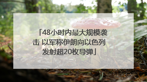 48小时内最大规模袭击 以军称伊朗向以色列发射超20枚导弹