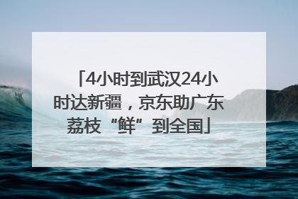 4小时到武汉24小时达新疆，京东助广东荔枝“鲜”到全国