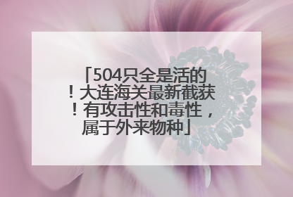 504只全是活的！大连海关最新截获！有攻击性和毒性，属于外来物种