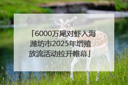 6000万尾对虾入海 潍坊市2025年增殖放流活动拉开帷幕