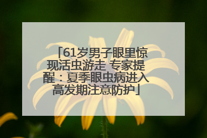 61岁男子眼里惊现活虫游走 专家提醒：夏季眼虫病进入高发期注意防护