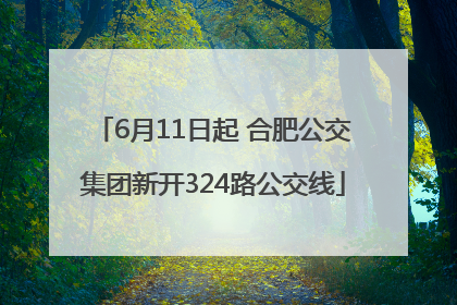 6月11日起 合肥公交集团新开324路公交线