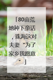 80亩荒地种下童话，珠海这对夫妻“为了家乡我愿意”